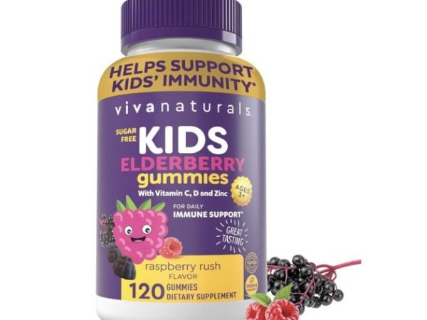 *HOT* Viva Naturals Kid’s Elderberry Gummies, 120 count only $7.99 shipped! 
